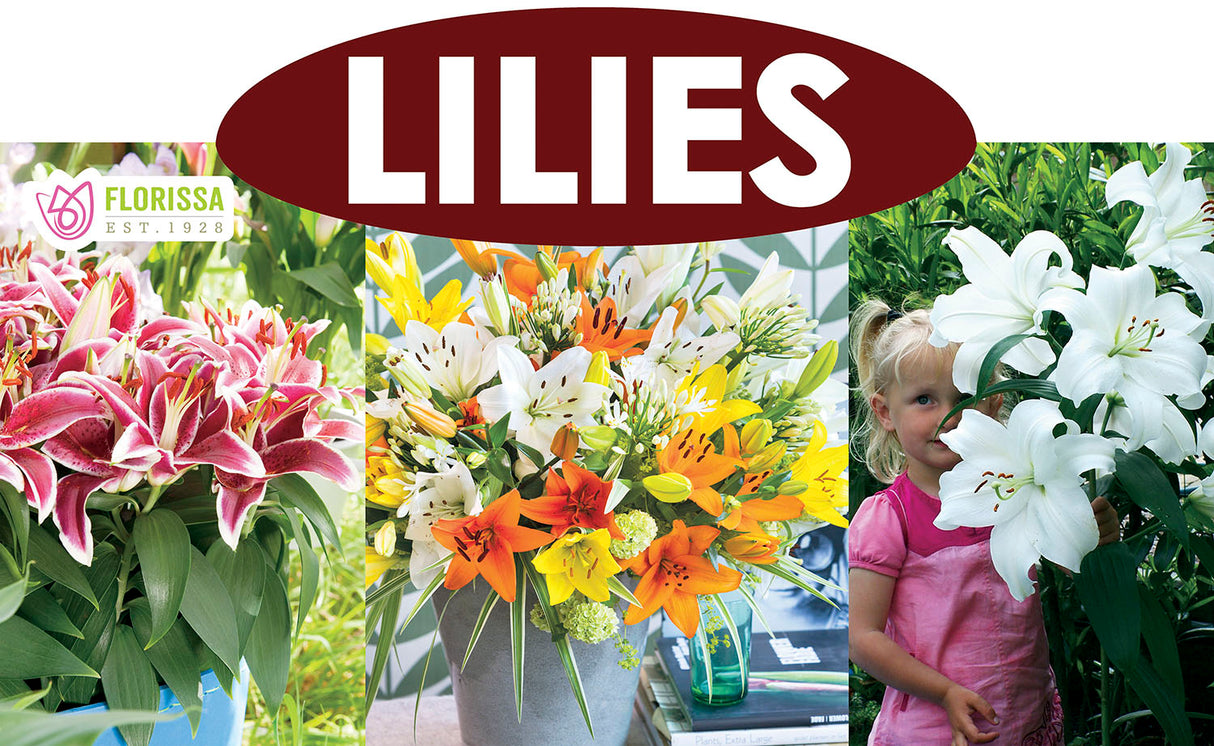 Metal Rack Topper - Lilies 25" long