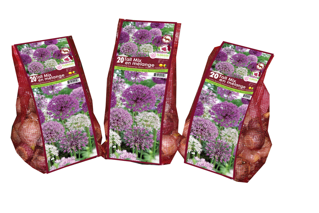 Allium - Tall Flowering Mix Mesh Bagged Bulbs