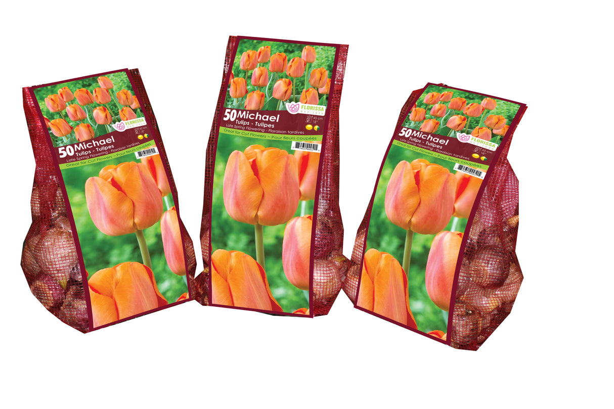 Tulip Triumph - Michael Mesh Bagged Bulbs