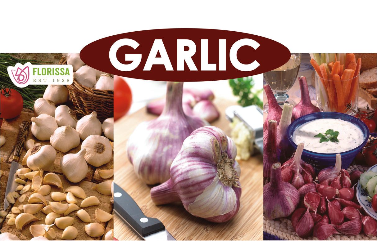 Metal Rack Topper - Grow Your Own Garlic 25" long