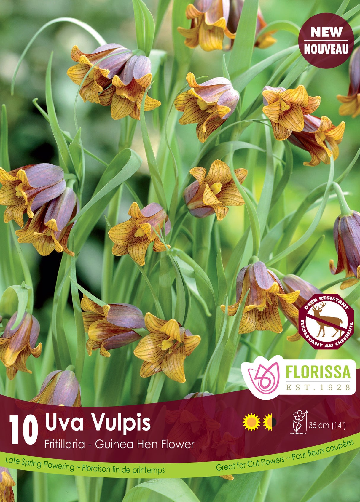 Fritillaria - Uva Vulpis Retail