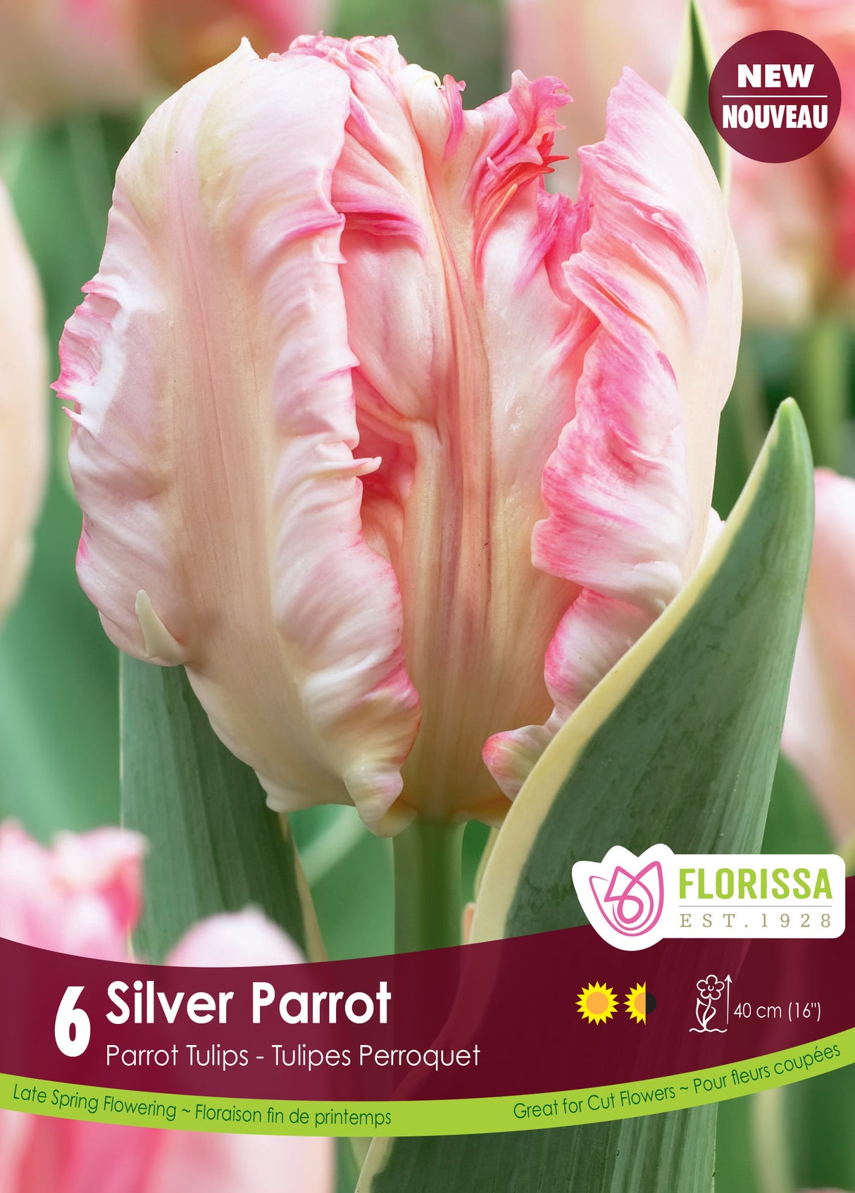 Tulip Parrot - Silver Parrot Retail