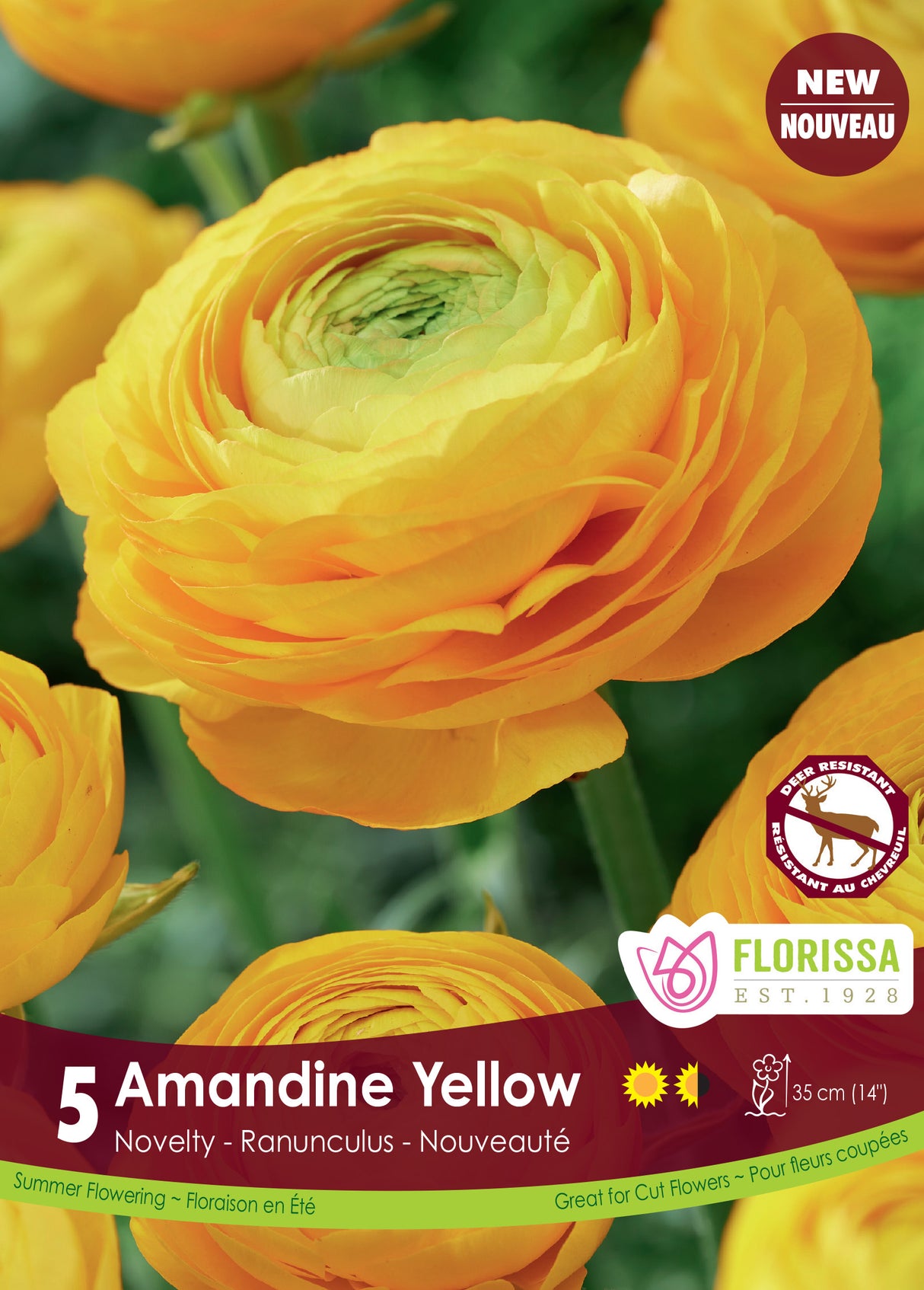 Ranunculus - Amandine Yellow Fall Retail