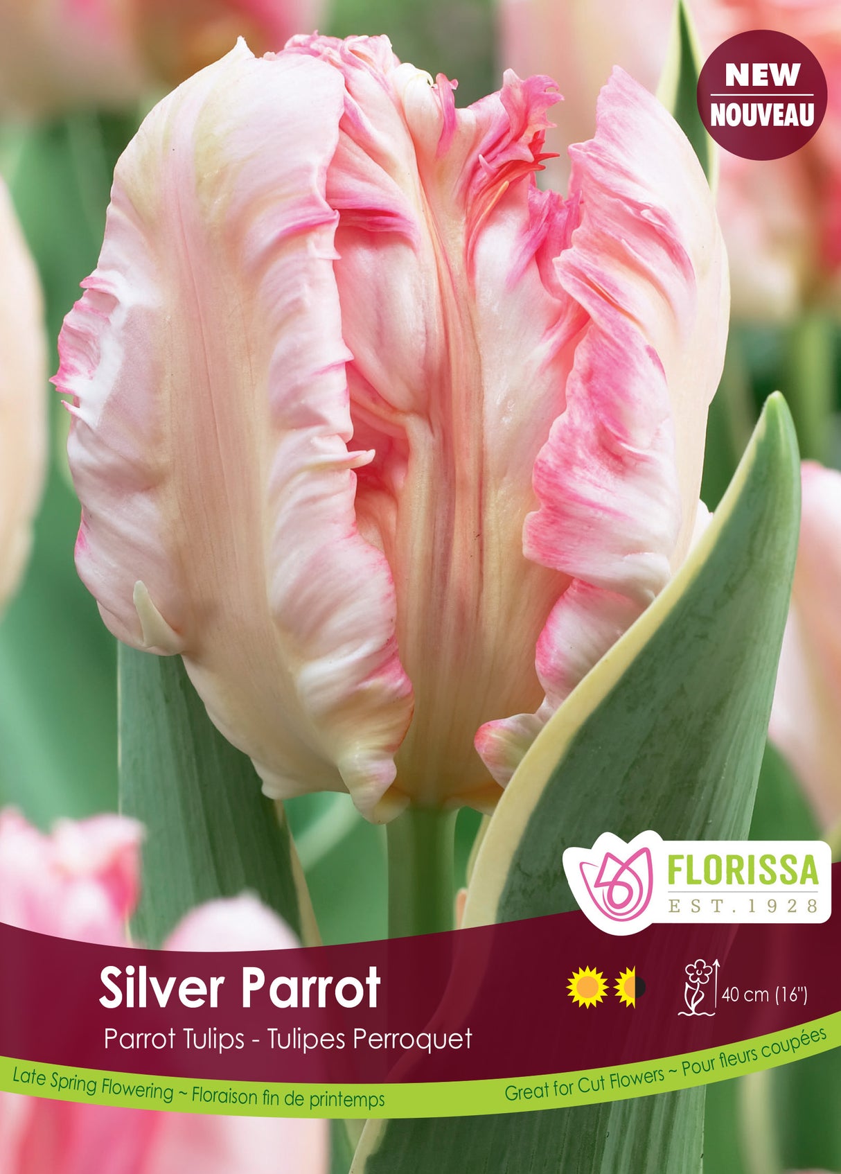 Tulip Parrot - Silver Parrot Bulk