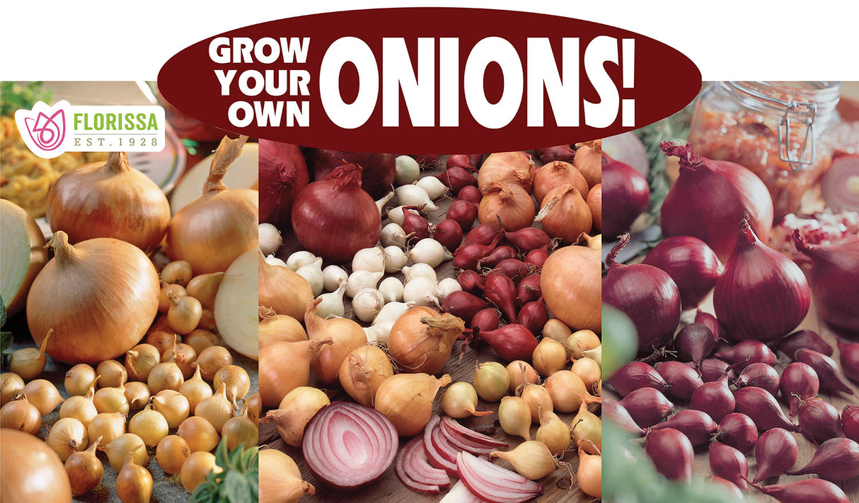 Metal Rack Topper - Grow Your Own Onions 25" long