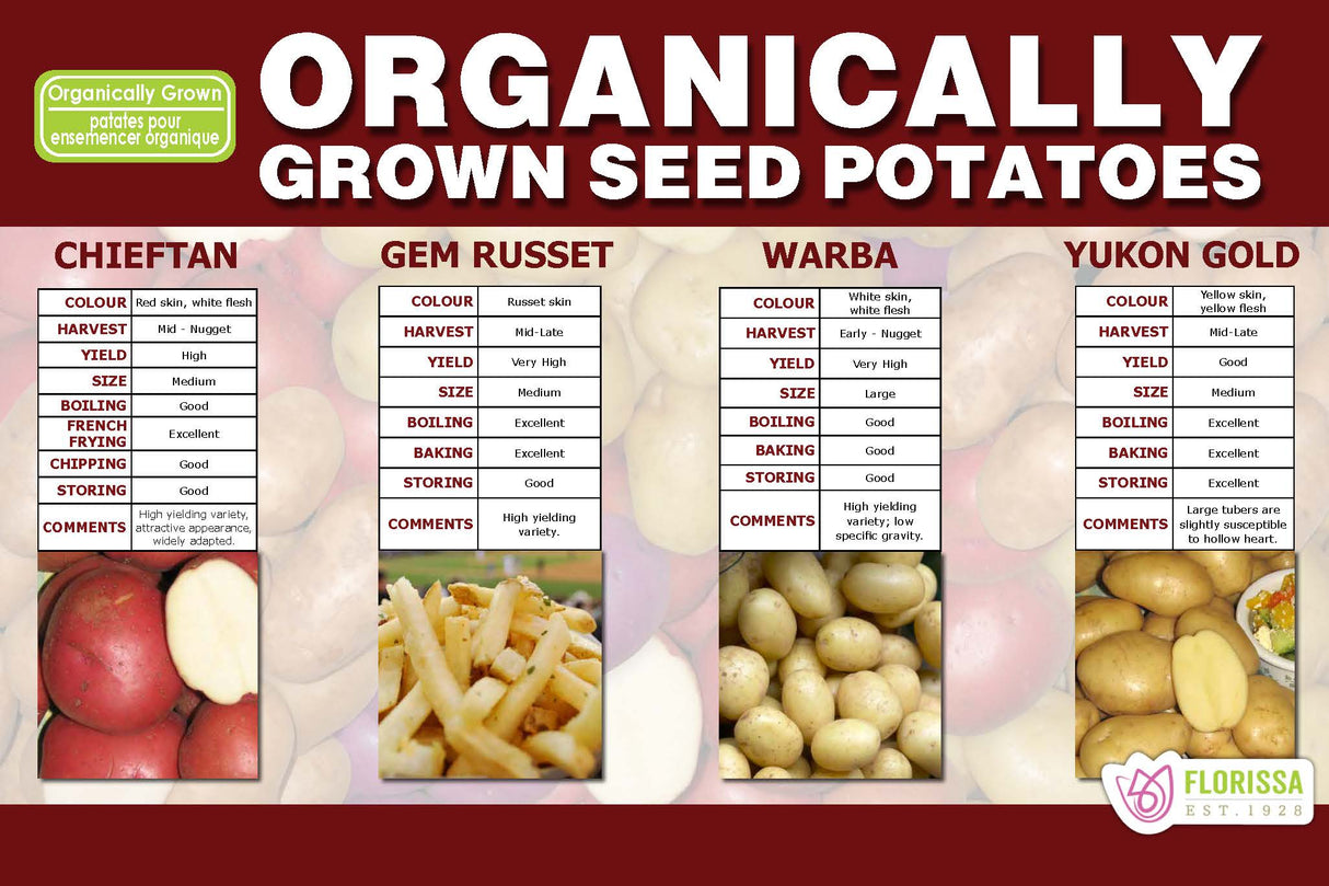 Organic Seed Potato Poster (12" x 18") (Bilingual)