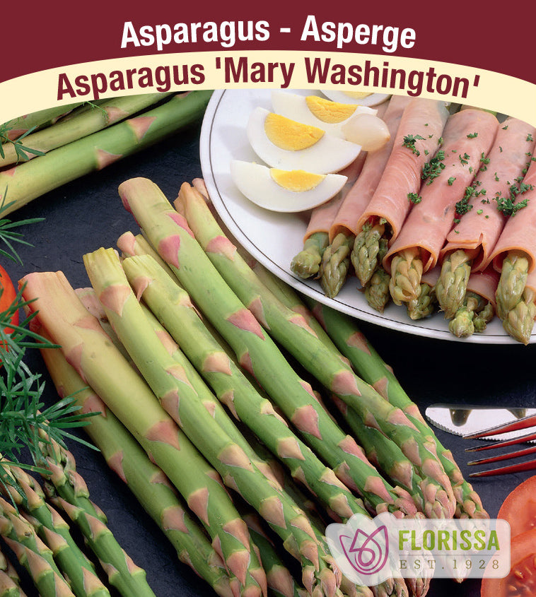 Asparagus - Mary Washington Bulk