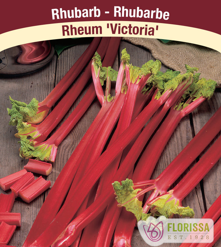 Rhubarb - Victoria Bulk