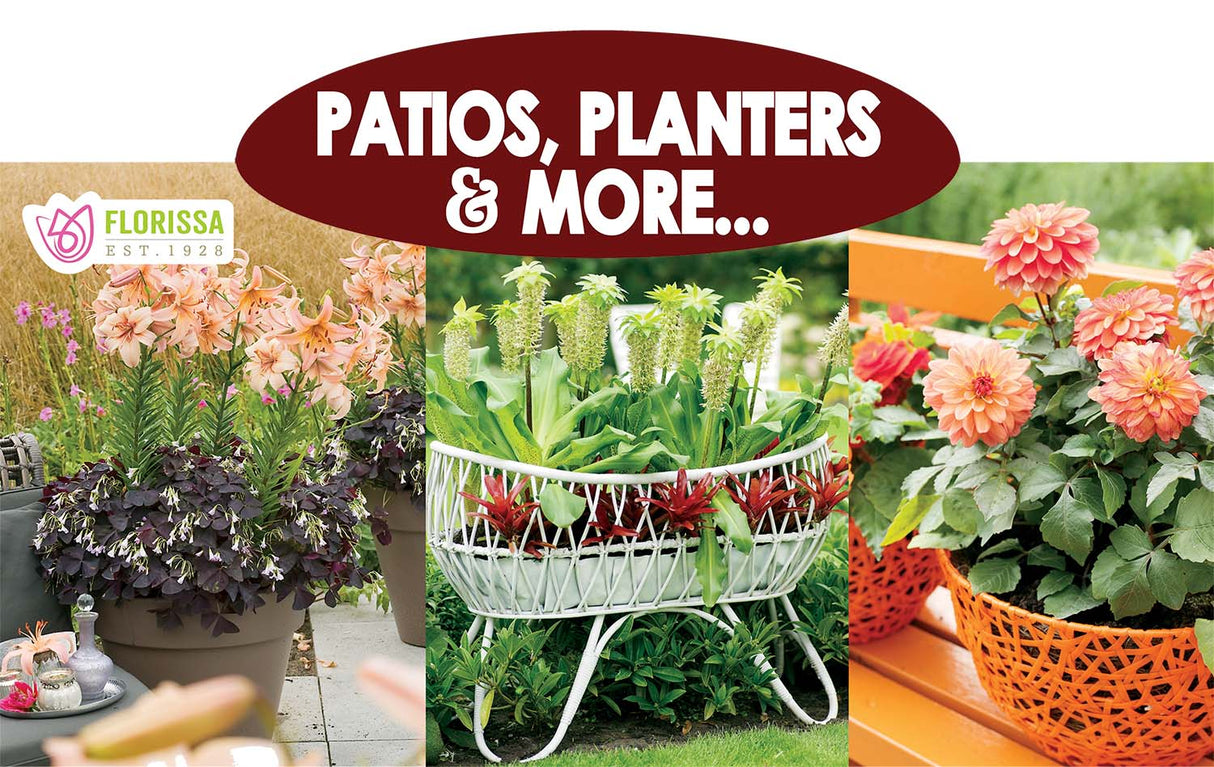 Metal Rack Topper - Patios Planter & More 25" long