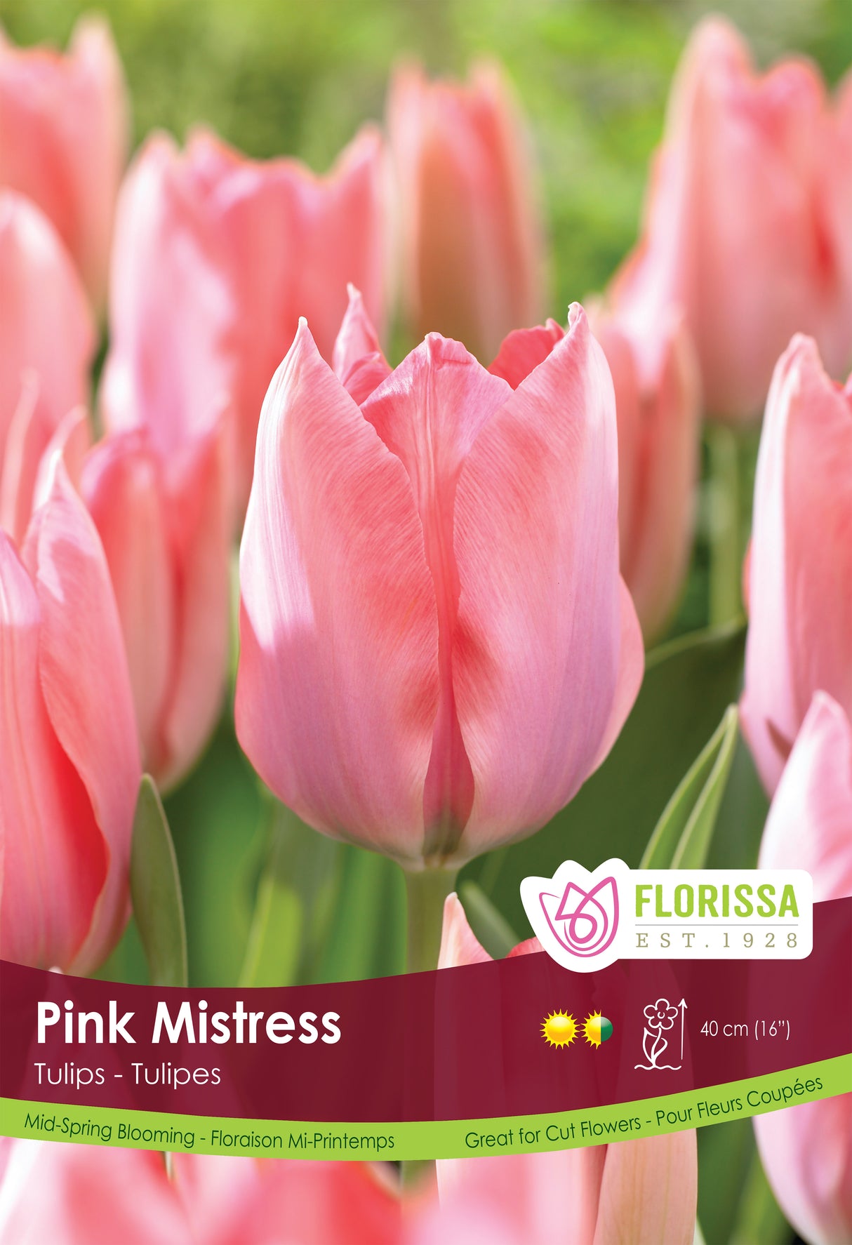 Tulip Pink Poster Board