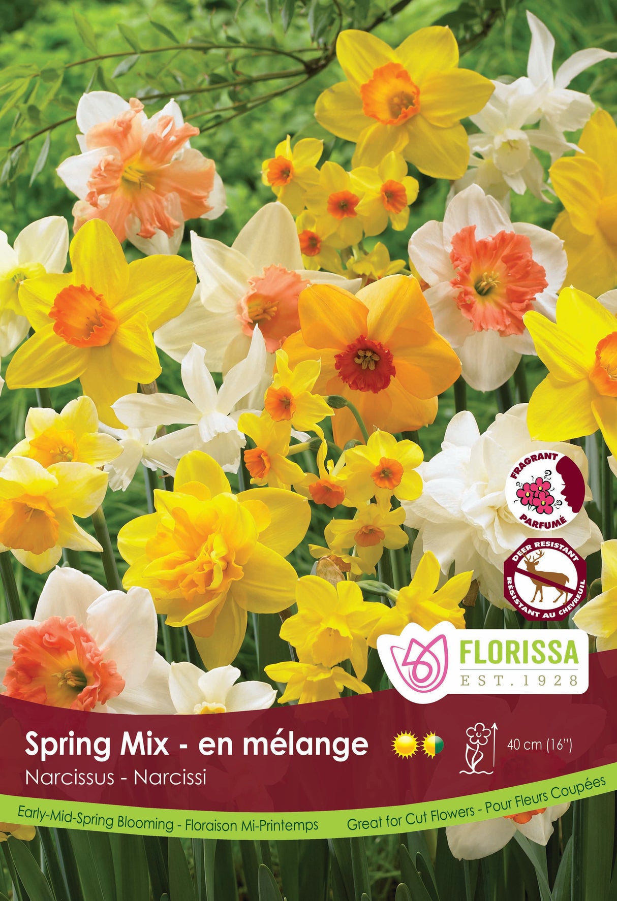 Narcissus Mixed Poster Board