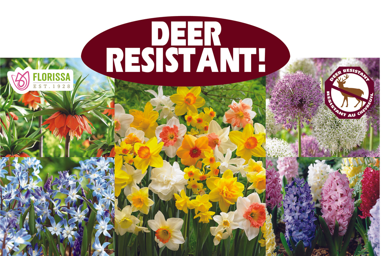 Theme Display Rack Topper - Deer Resistant