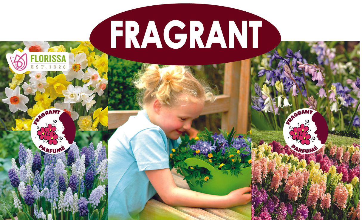 Theme Display Rack Topper - Fragrant