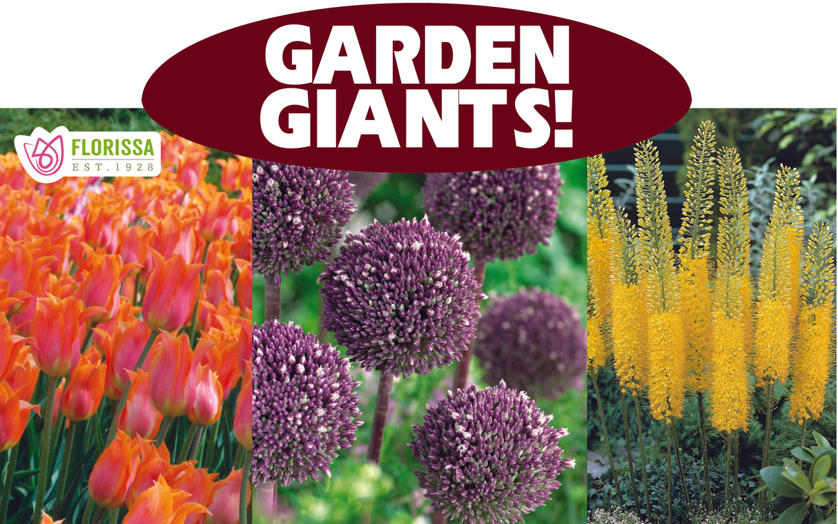 Theme Display Rack Topper - Garden Giants