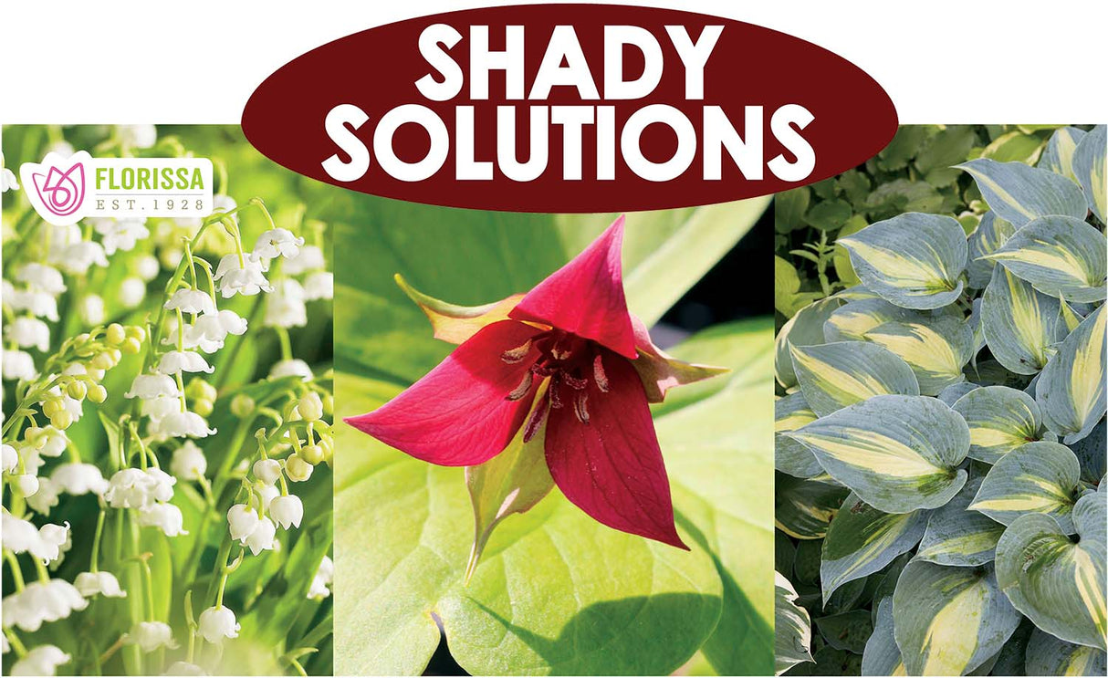 Metal Rack Topper - Shady Solutions 25" long