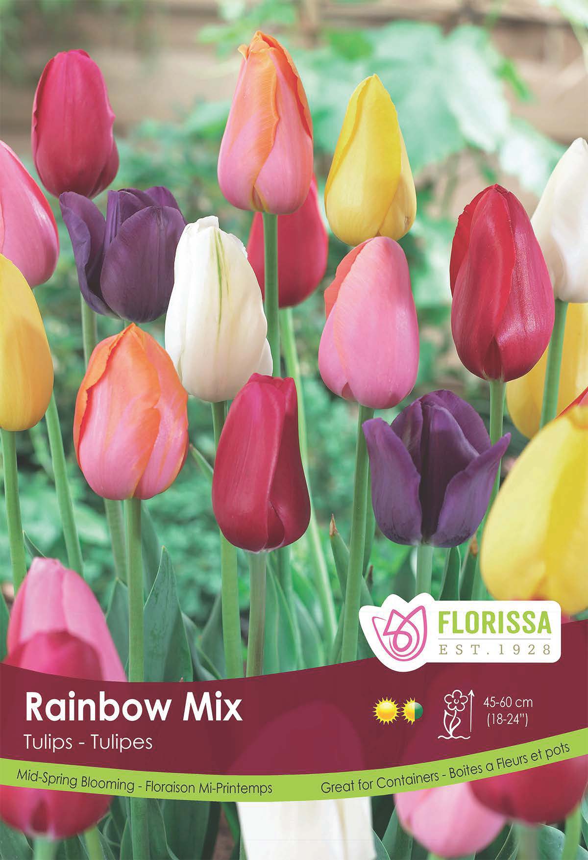 Tulip Rainbow Mix Poster Board