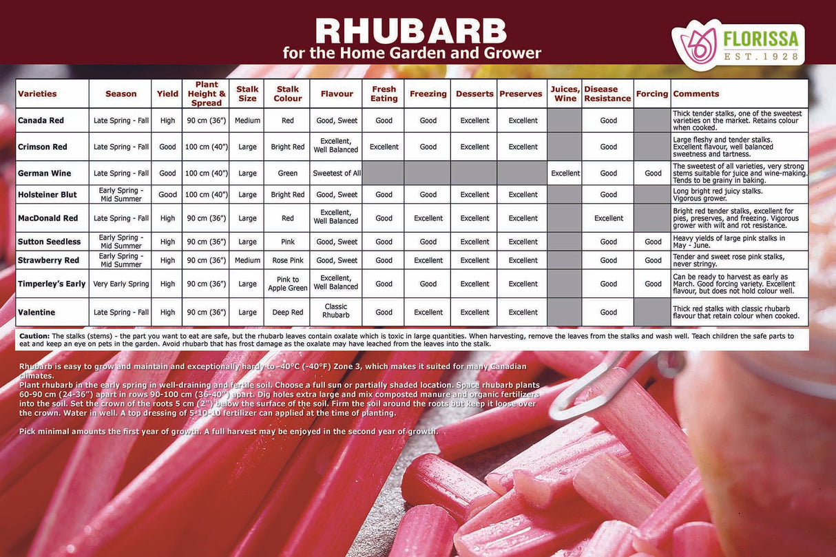 Rhubarb Poster (12x18) Bilingual