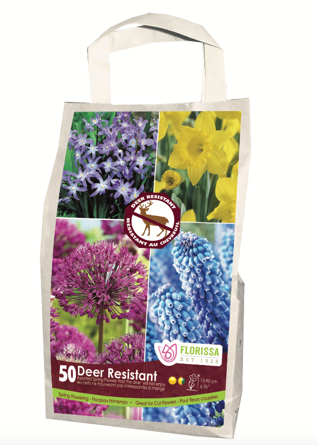 GSD 11 Deer Resistant Planting Yellow & Blue