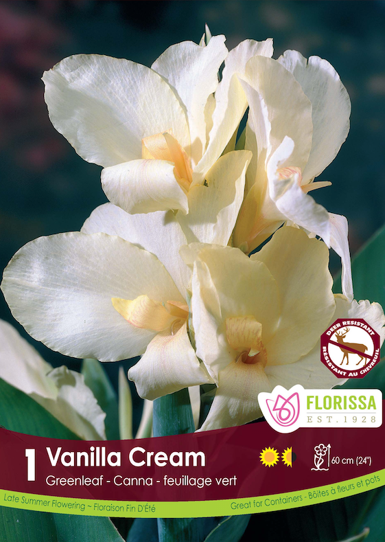 Canna Greenleaf - Vanilla Cream Retail Pkg
