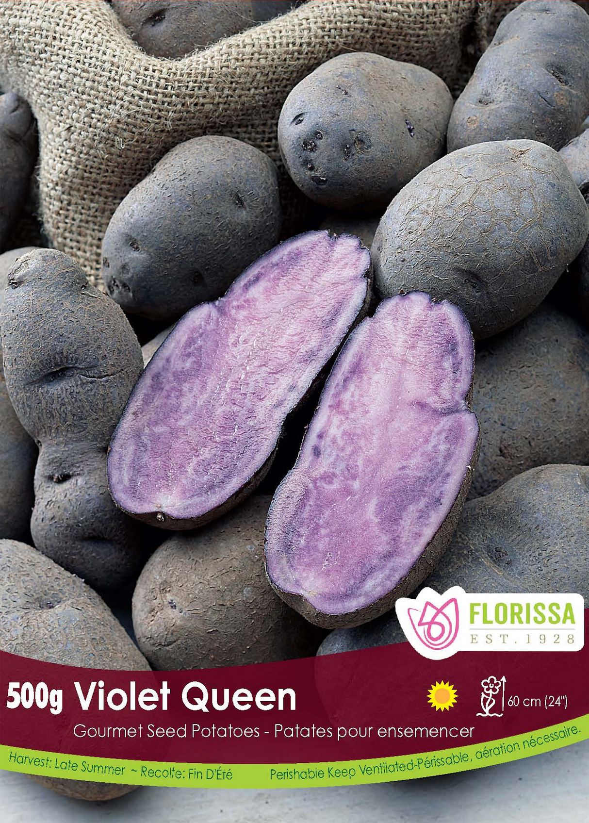 Potato Gourmet - Violet Queen
