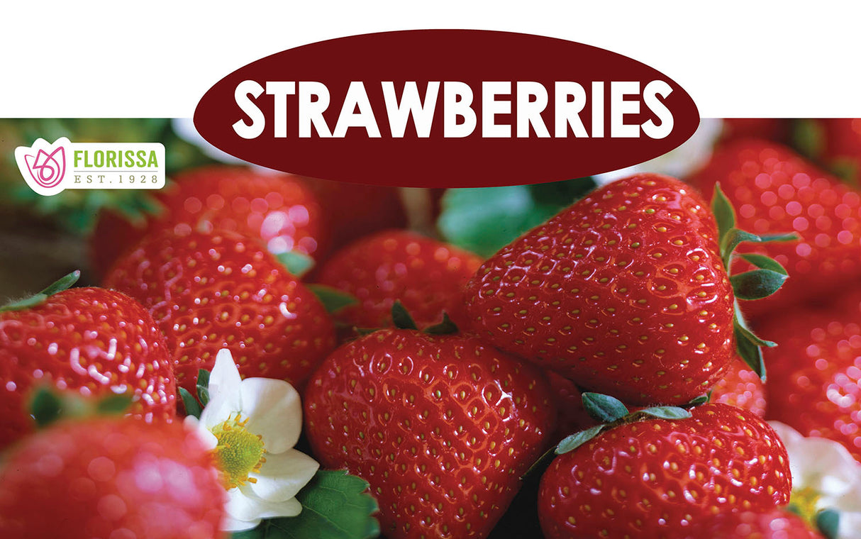 Metal Rack Topper - Grow Your Own Strawberries 25" long