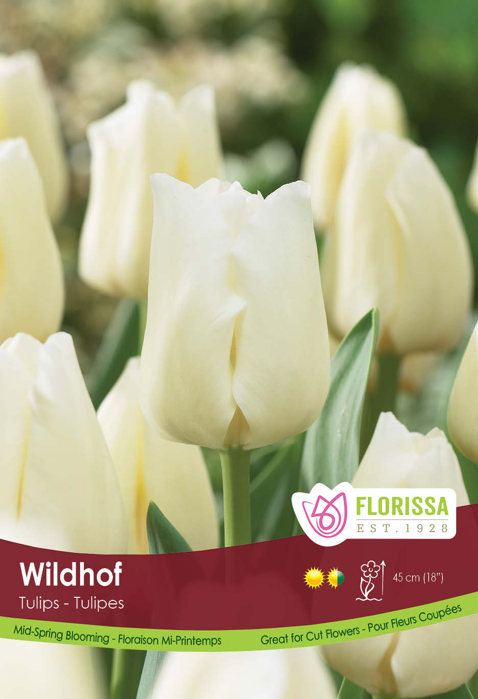 Tulip - Wildhof Bulk Black Tray