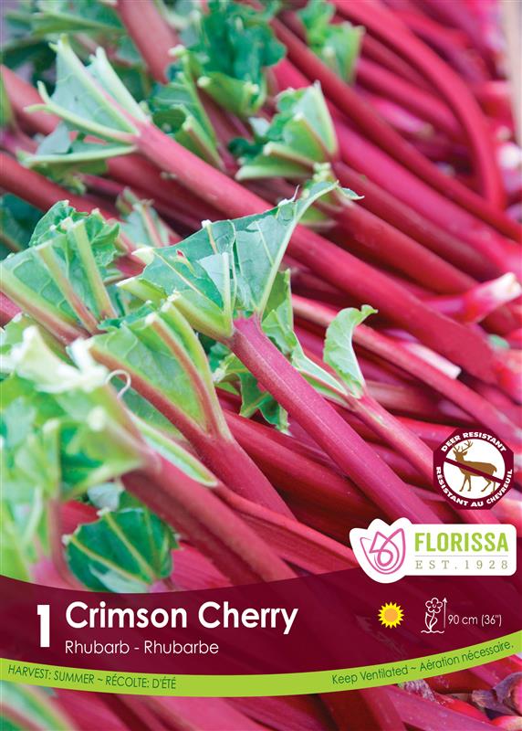 Rhubarb - Crimson Cherry Retail