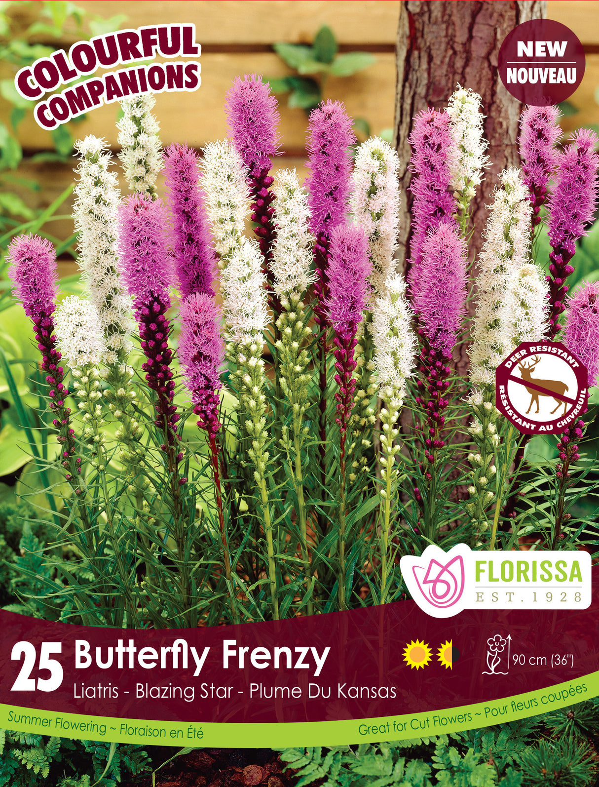 Spring Colourful Companions - Butterfly Frenzy