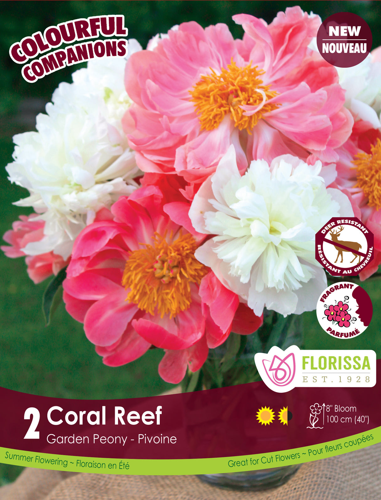 Spring Colourful Companion - Coral Reef
