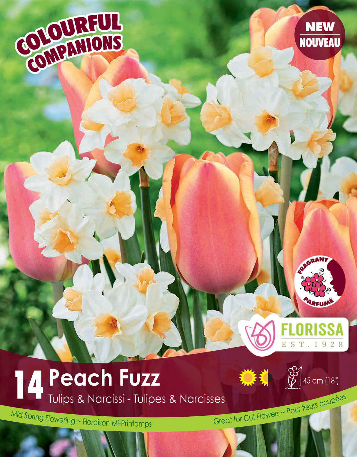 Fall Colourful Companions - Peach Fuzz Retail