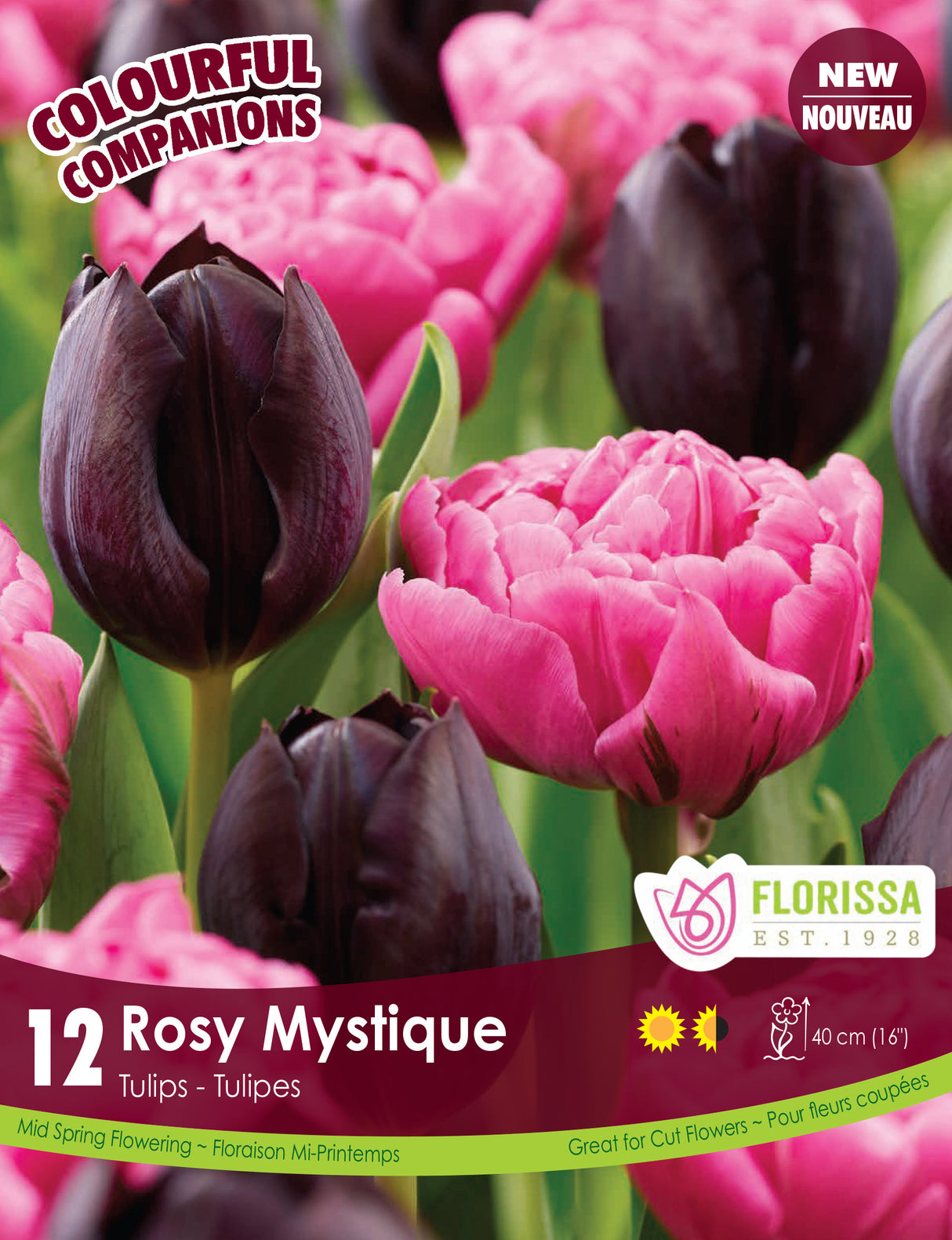 Fall Colourful Companions - Rosy Mystique Bulk