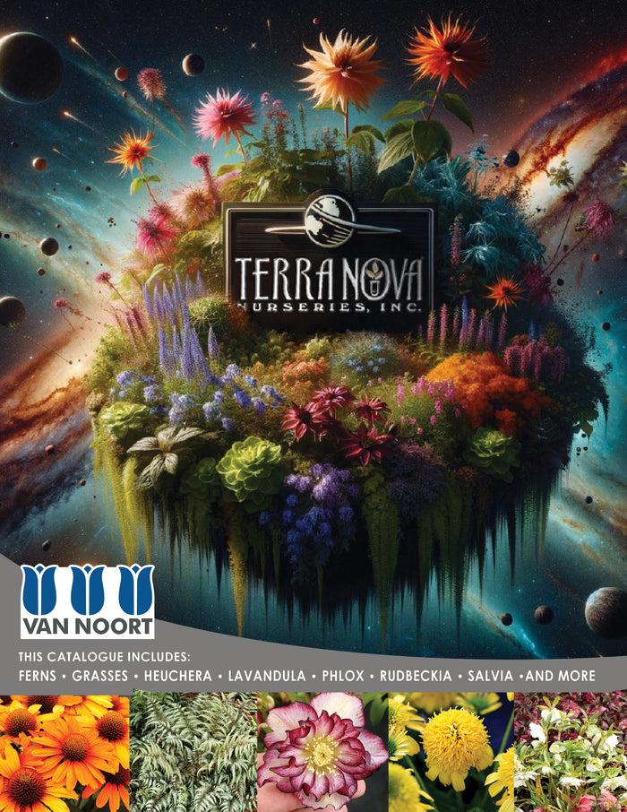 D Terra Nova 2025 Cover.jpg__PID:a5bf0ebd-3c03-42fd-b414-27728fc0ffb3