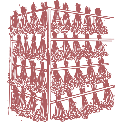 Dried_to_perfection.png__PID:39a25093-4285-4892-a4d7-86f722f53445