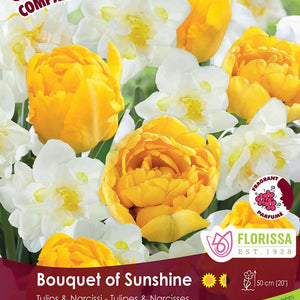 Colourful Companions