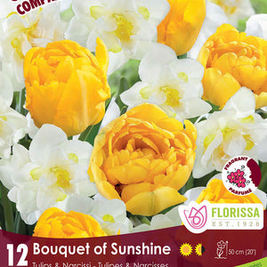 Colourful Companions