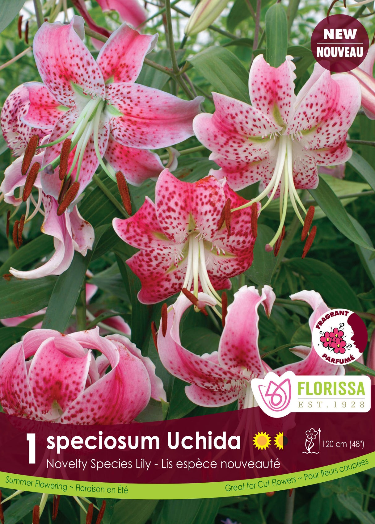 Lily Novelty  - Uchida Retail