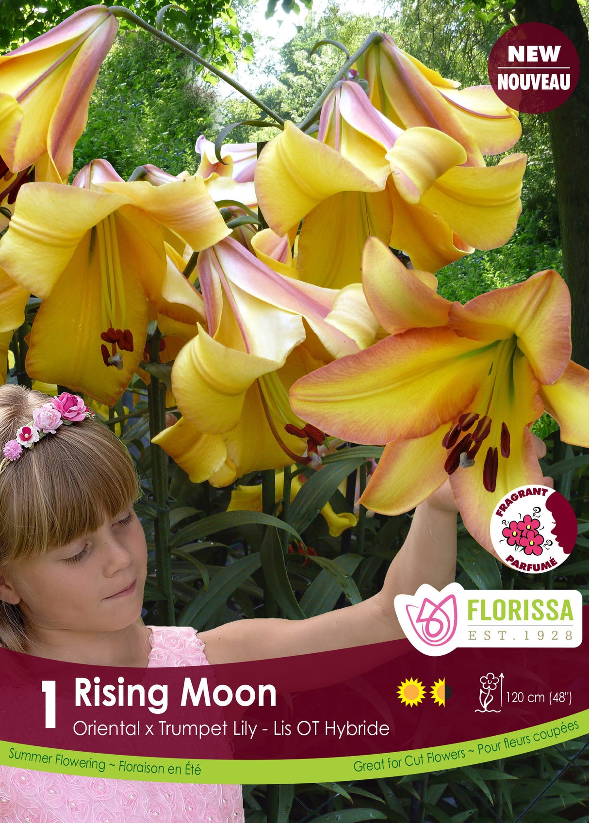 Lily O/T Hybrid  - Rising Moon Retail