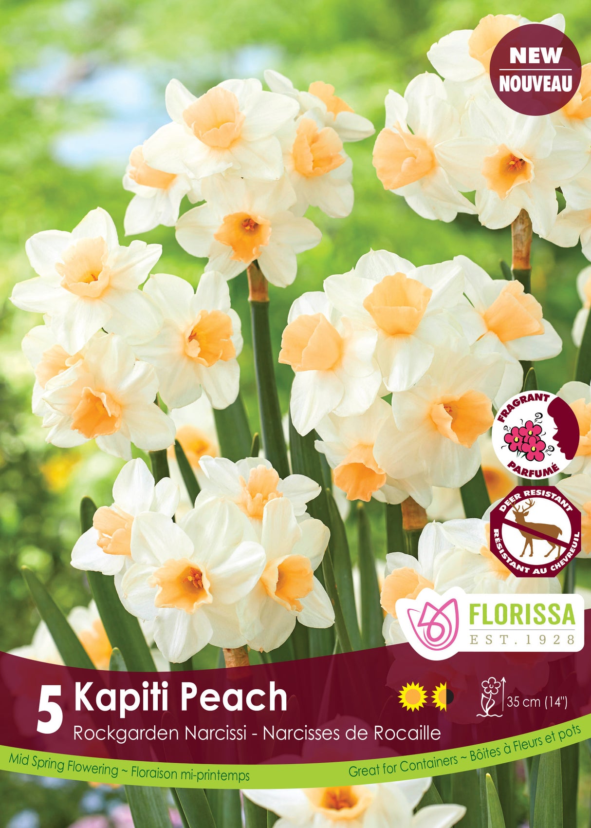 Narcissus Rockgarden - Kapiti Peach Retail