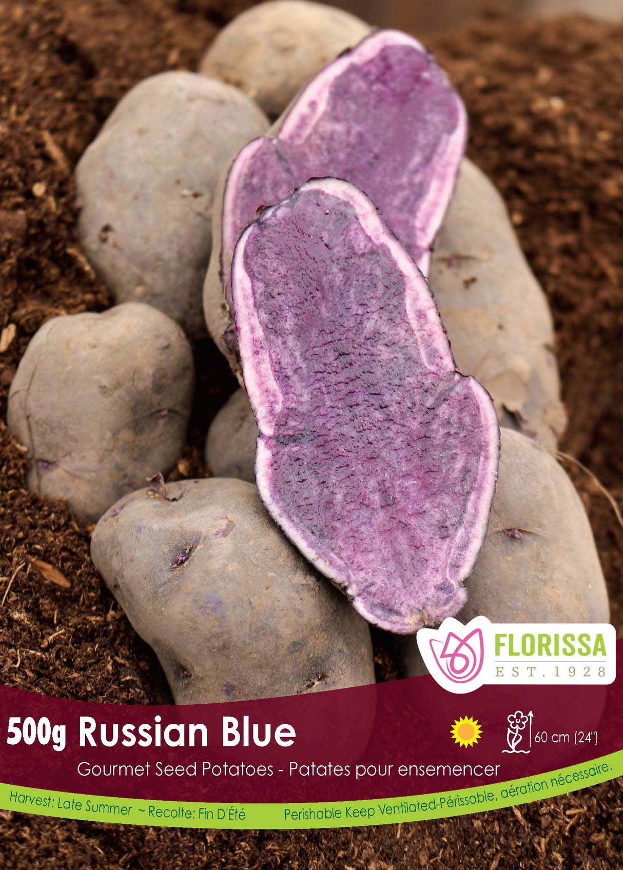 Potato Gourmet - Russian Blue