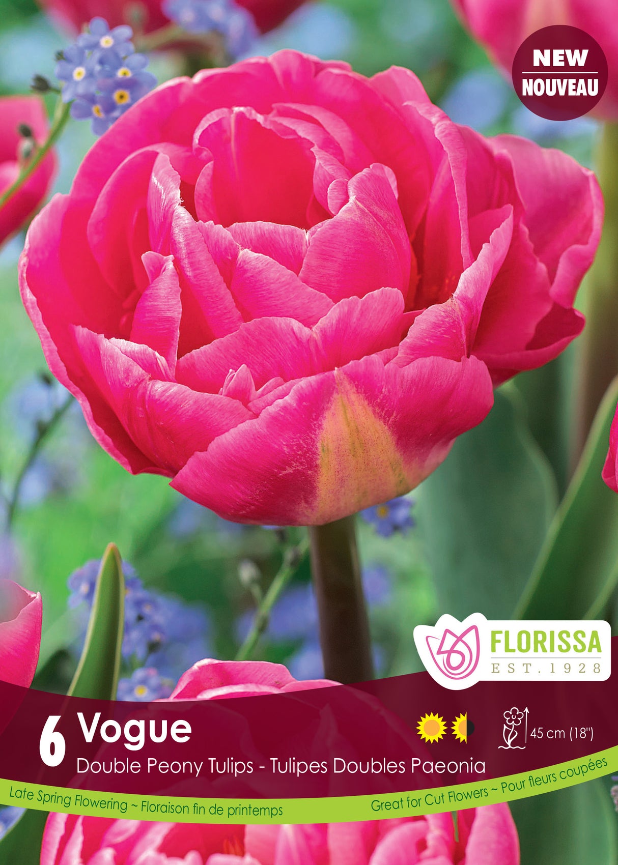 Tulip Double Late - Vogue Retail