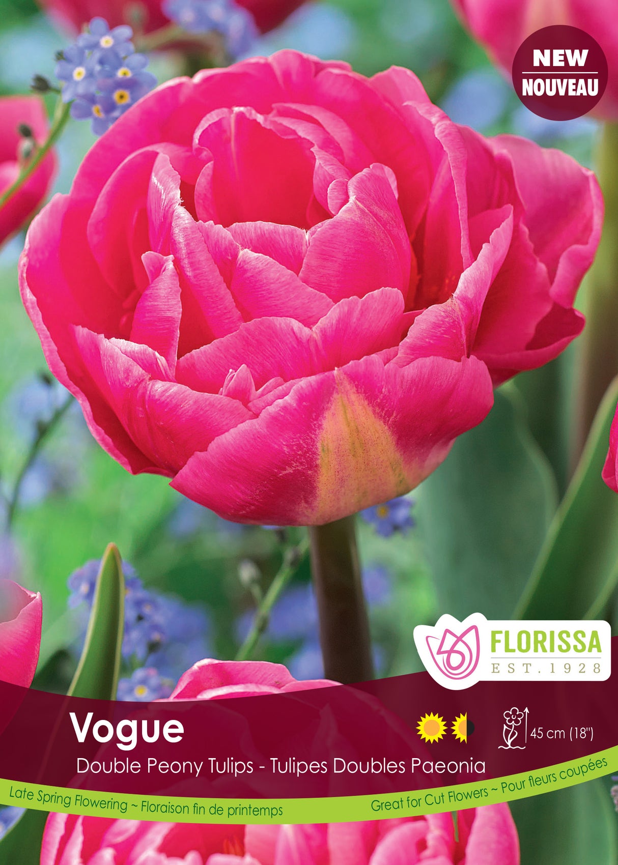 Tulip Double Late - Vogue Bulk