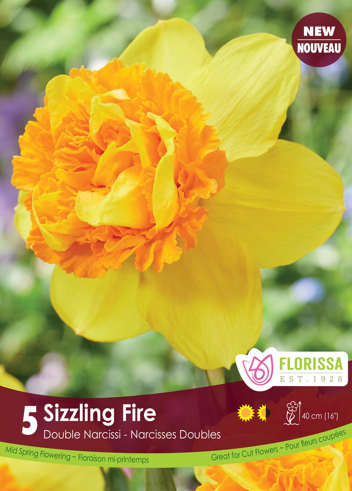 Narcissus Double - Sizzling Fire Retail