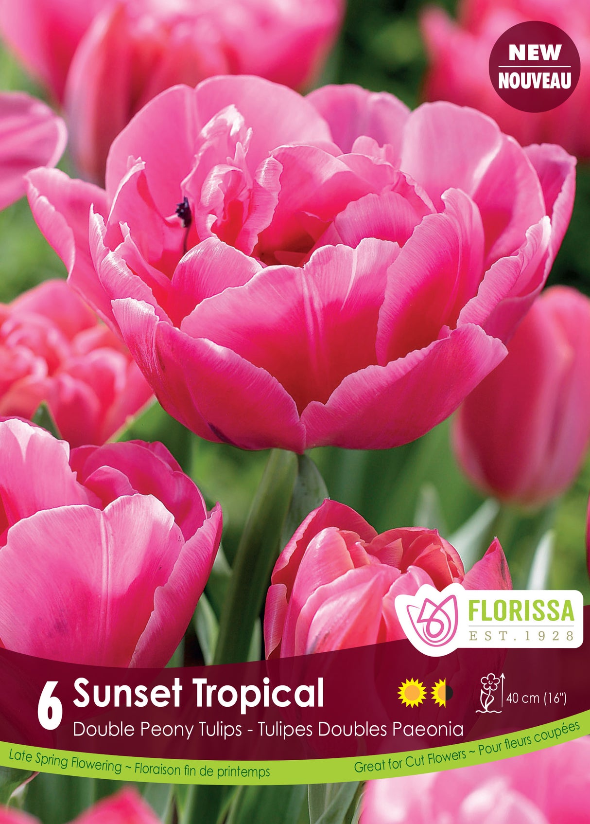 Tulip Double Late - Sunset Tropical Bulk