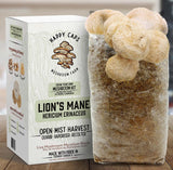 Mushroom Kits - Assorted Unit of 15