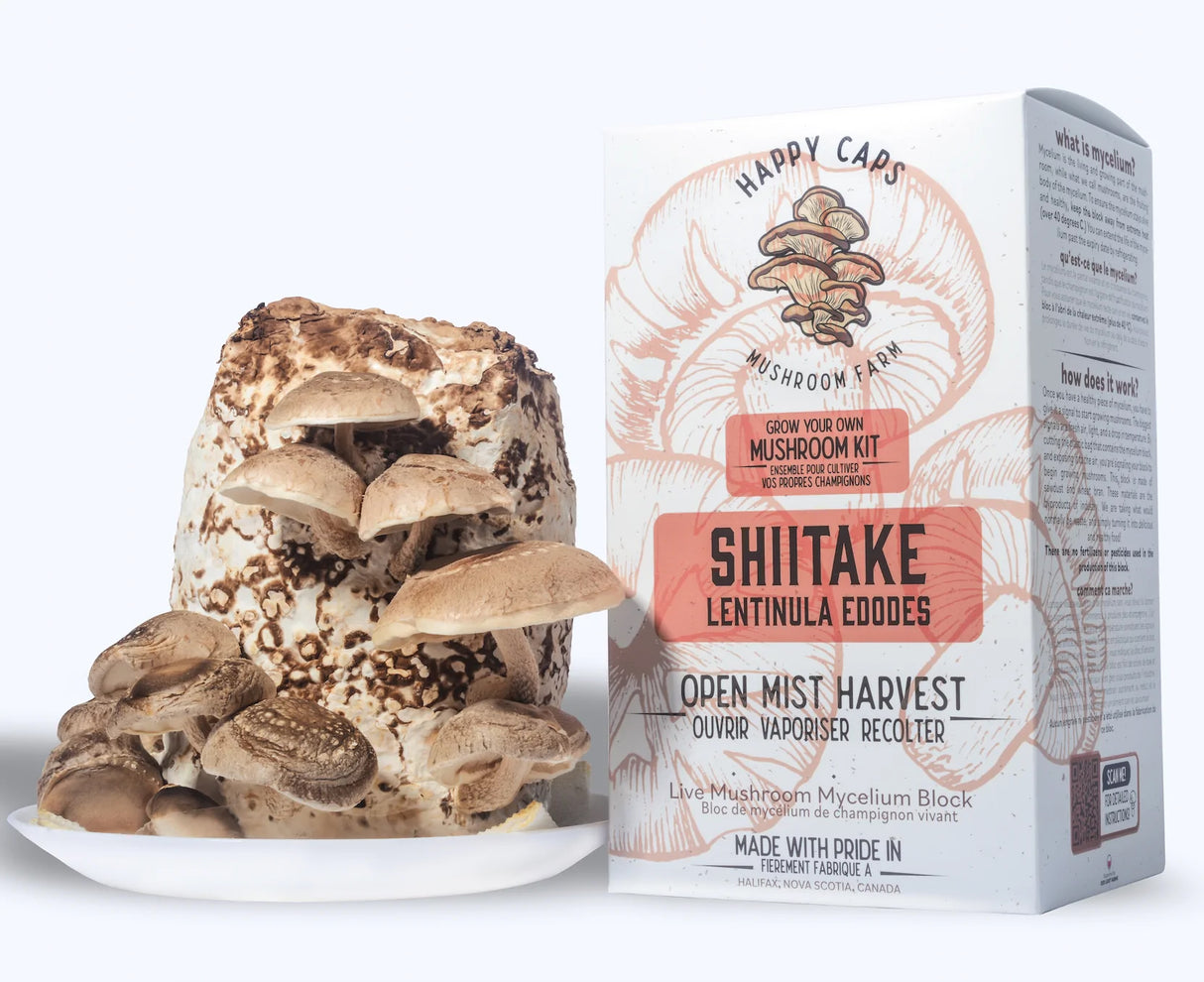 Mushroom Kits - Shiitake