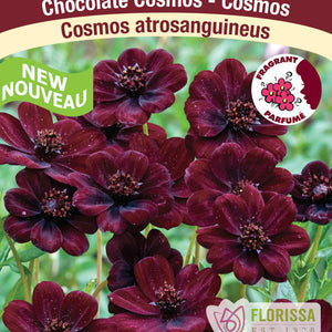 Cosmos