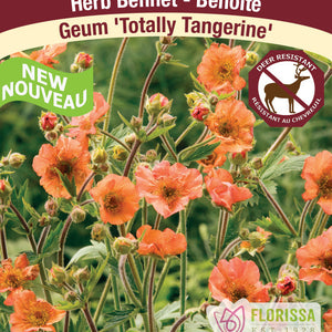 Geum