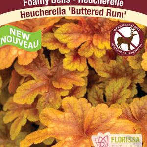 Heucherella