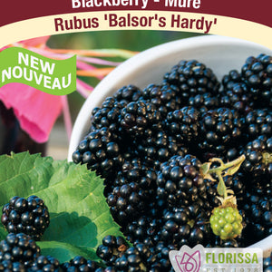 Shop All Small Fruits