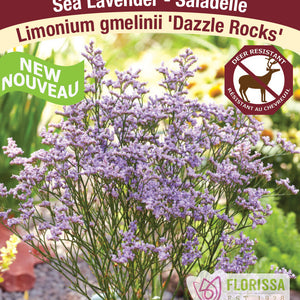 Limonium